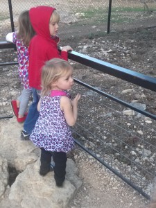 Cristy Nix, Intuition on Purpose, Mompreneure, Heart Sync