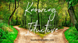 Knowing Intuitive by Cristy Nix