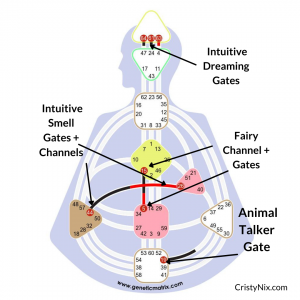 Cirsty NIx, Intuition + Human design for Business