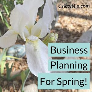 Business Planning for Spring